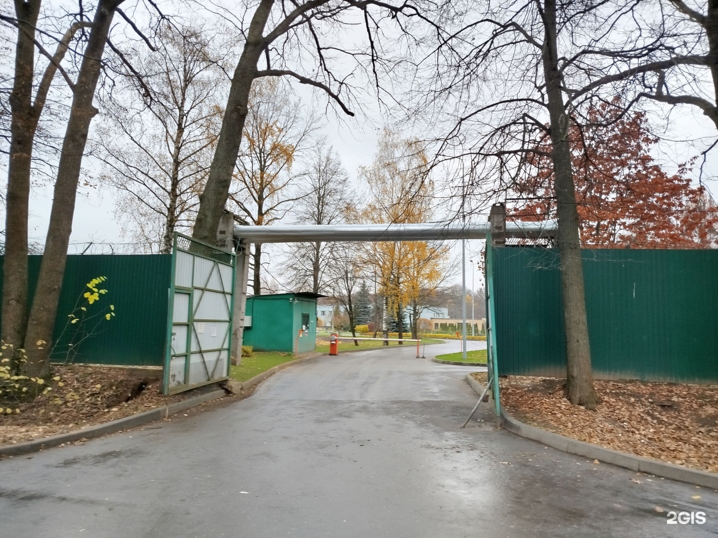 Изображение организации