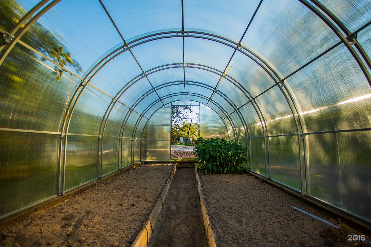 Изображение организации