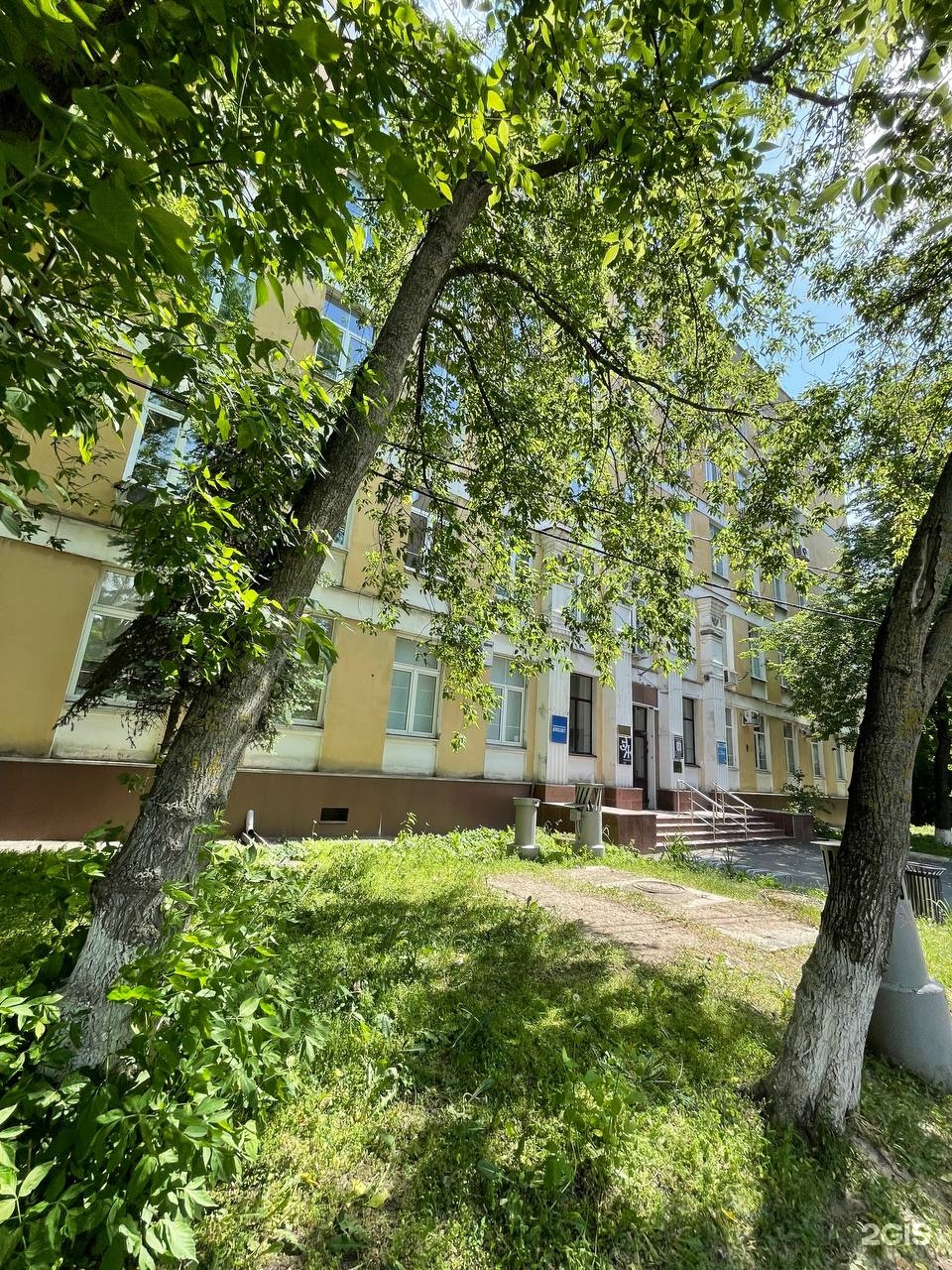 Изображение организации
