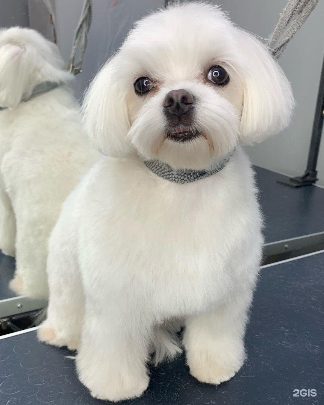 Изображение организации