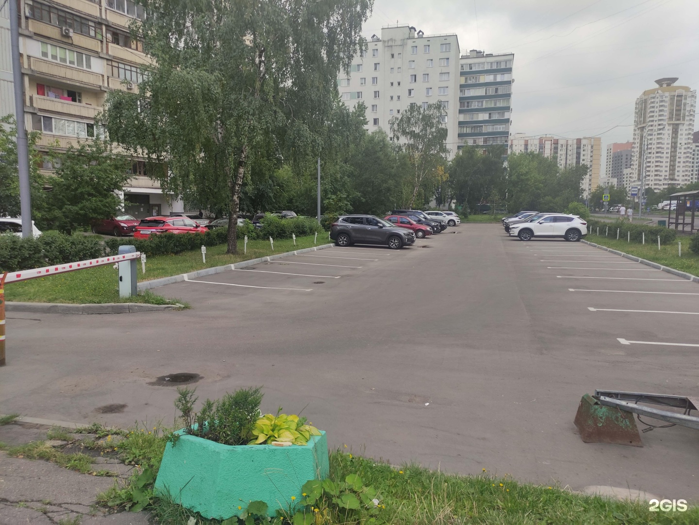 Изображение организации