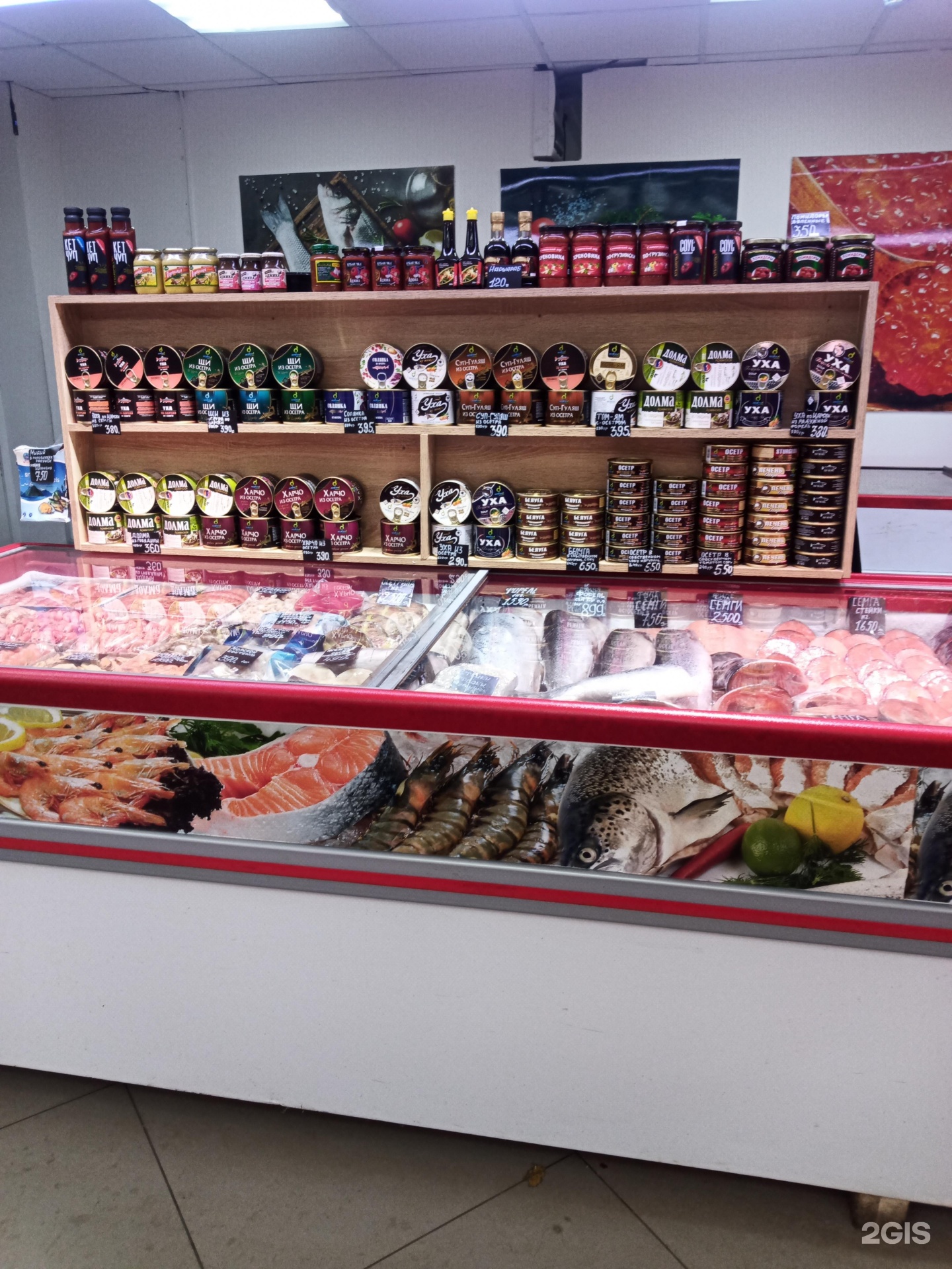 Изображение организации