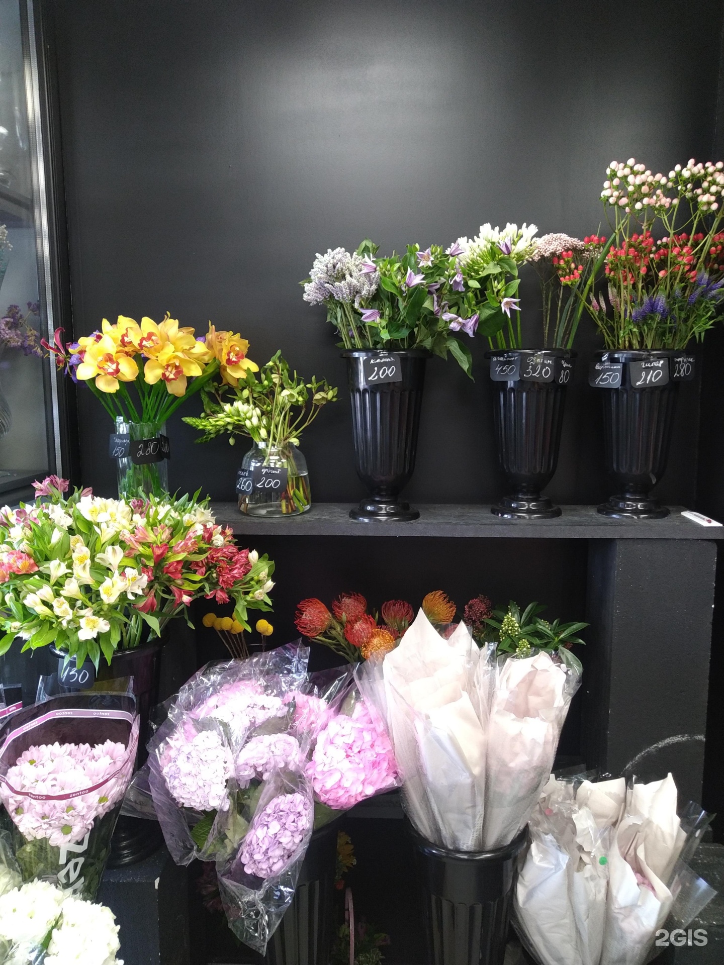 Изображение организации