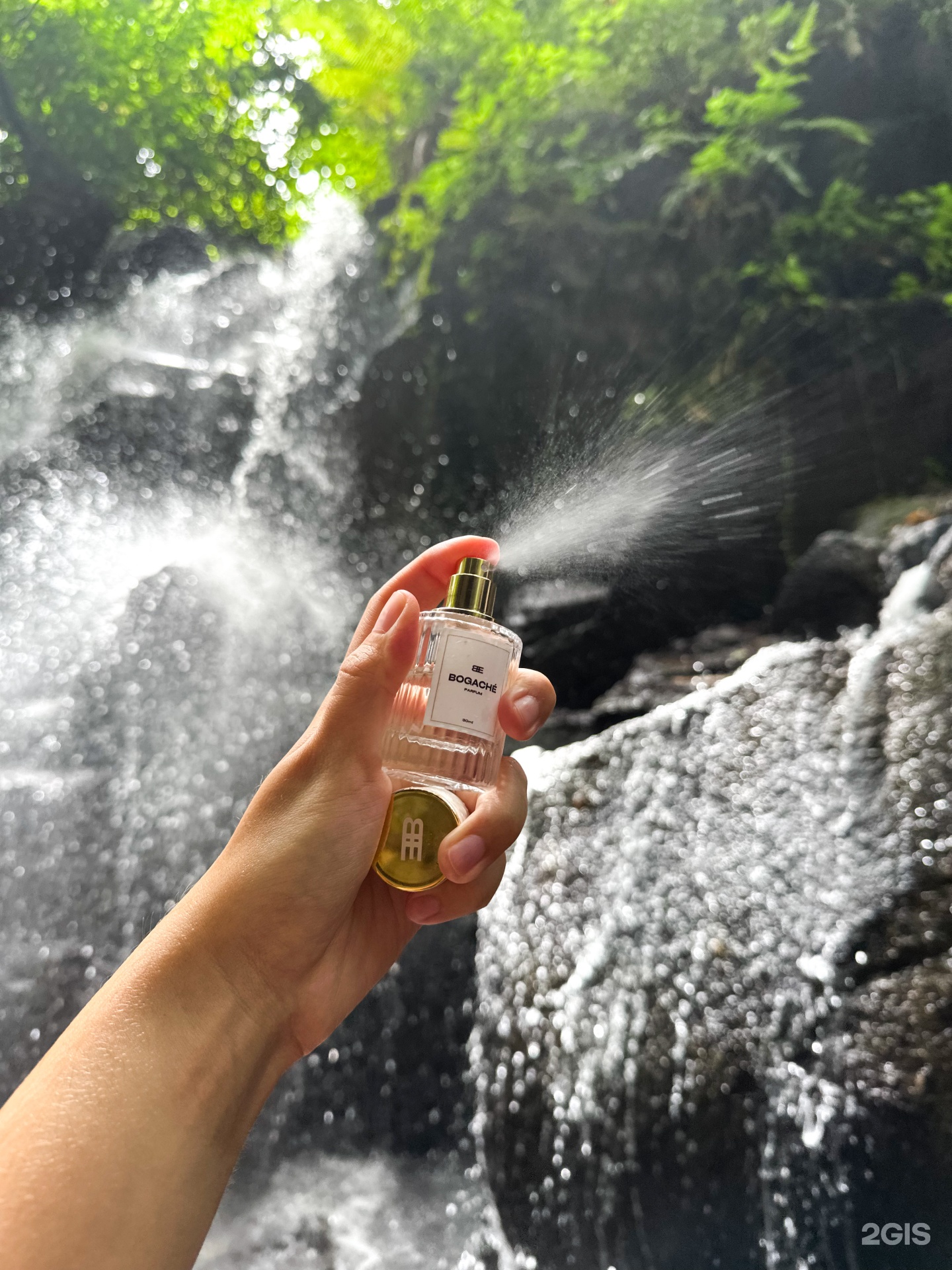 Изображение организации