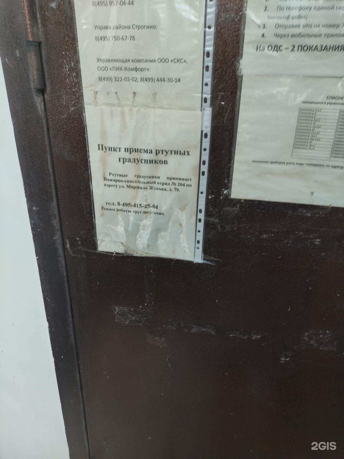 Изображение организации