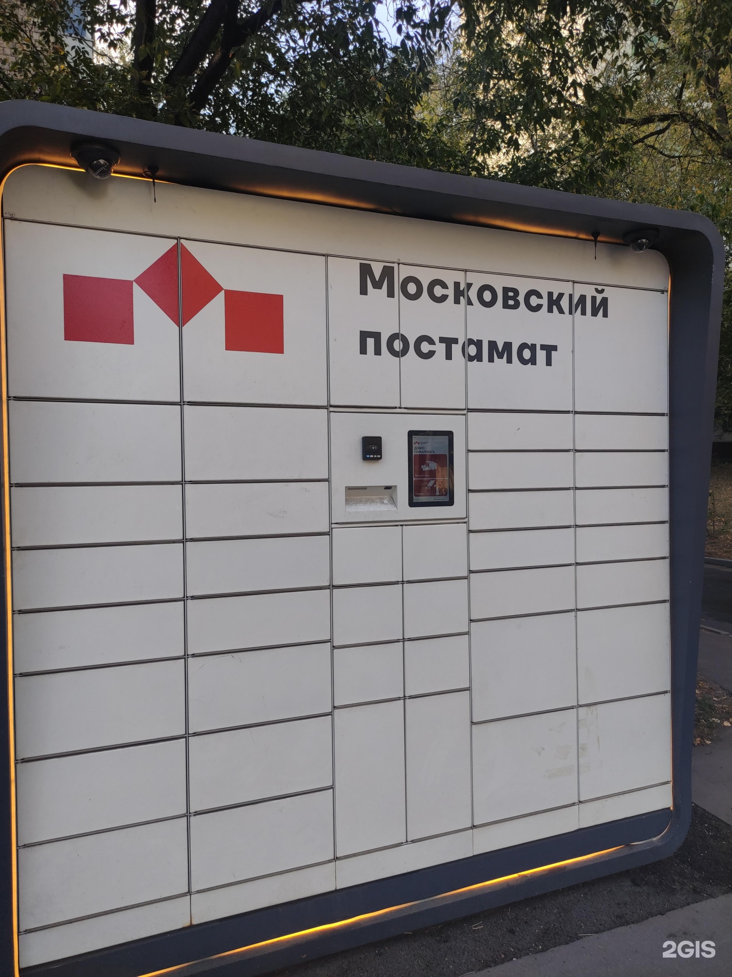 Изображение организации
