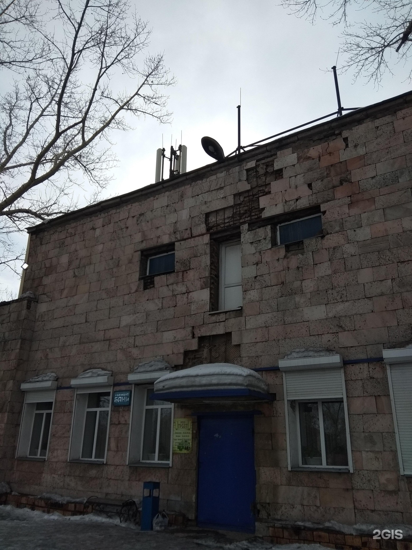 Трест