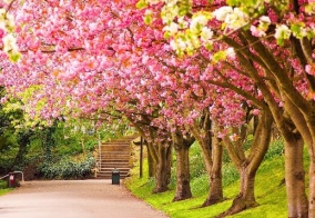 Отель Лафер Ренессанс в Московской области