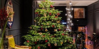 Санкт-Петербург: Отель Dom Boutique Hotel