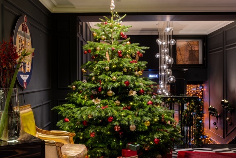 Санкт-Петербург: Отель Dom Boutique Hotel