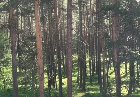 Отель Теберда-Чегет в Кабардино-Балкарской Республике