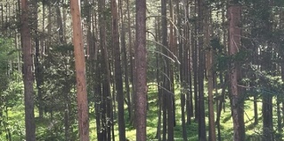 Эльбрусский район: Отель Теберда-Чегет