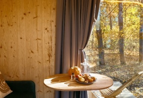 Коттедж Дворяновка в Самарской области