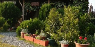 Молочный совхоз: Отель Black house