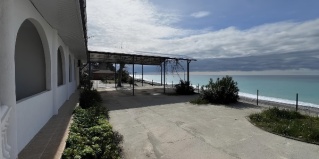 Гагра: Гостевой дом ДавЭль