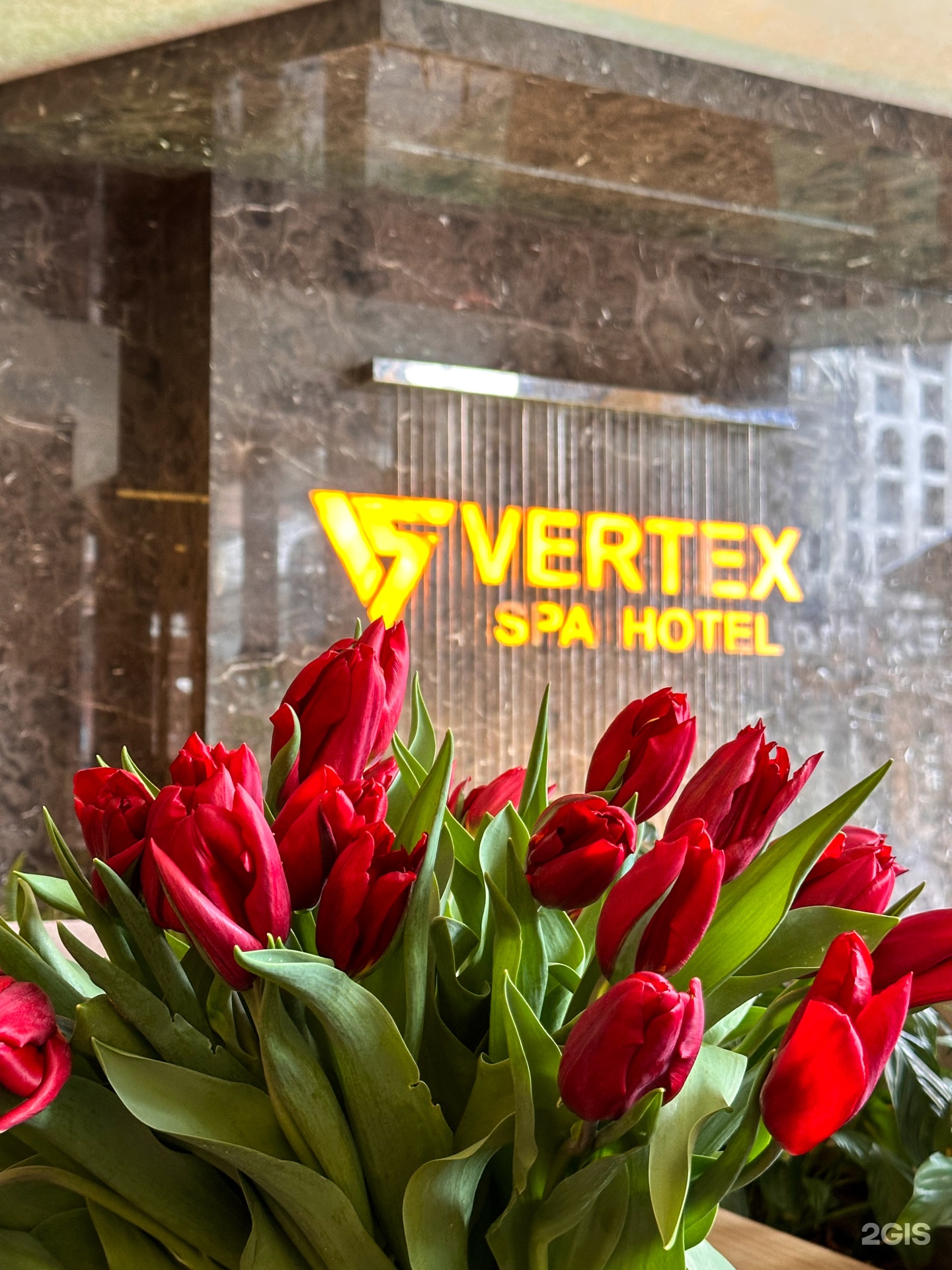 с. Эстосадок: Отель Vertex SPA hotel