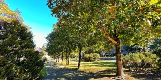 Агой: Апартаменты Goodwill