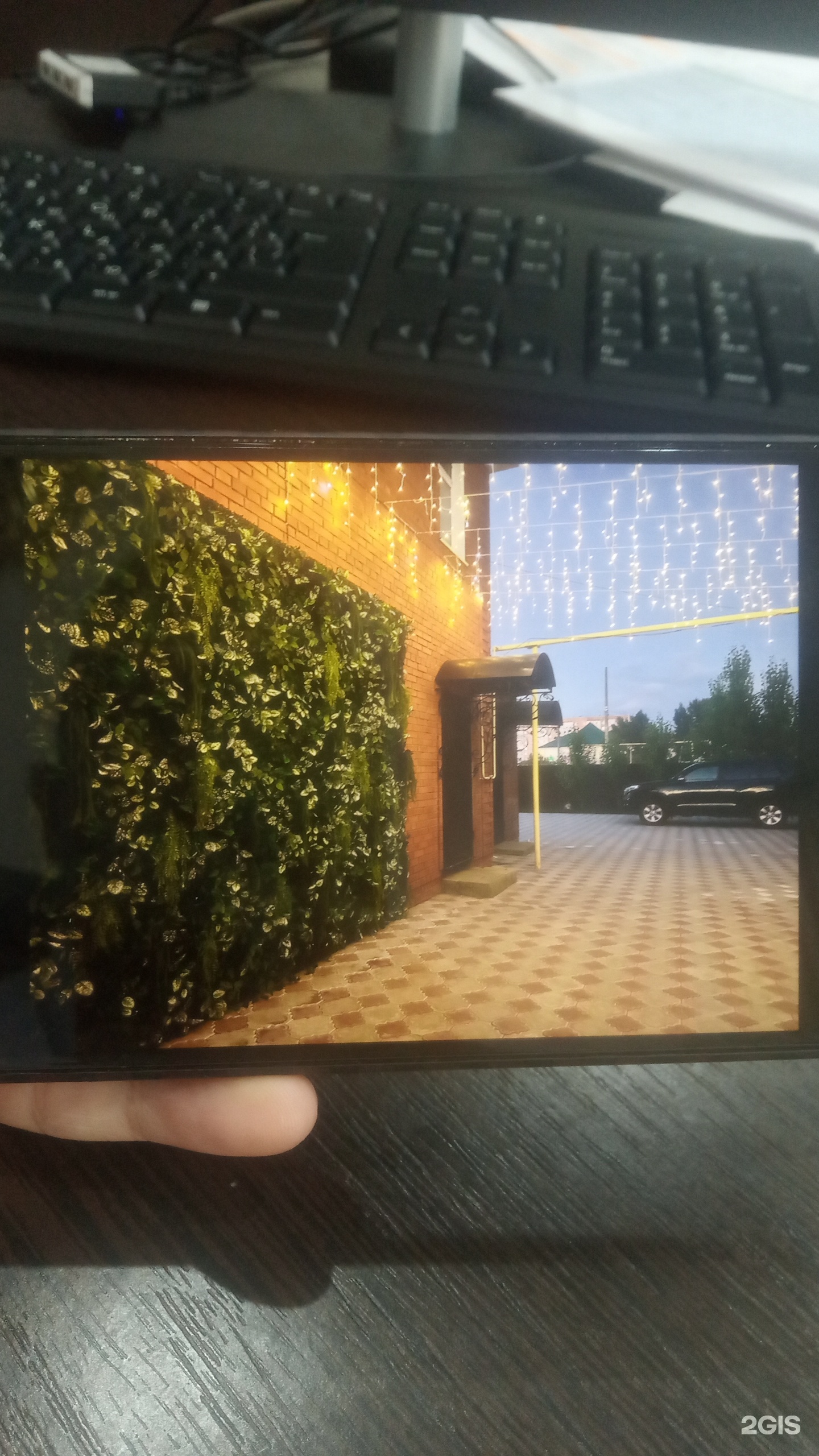 Бархат