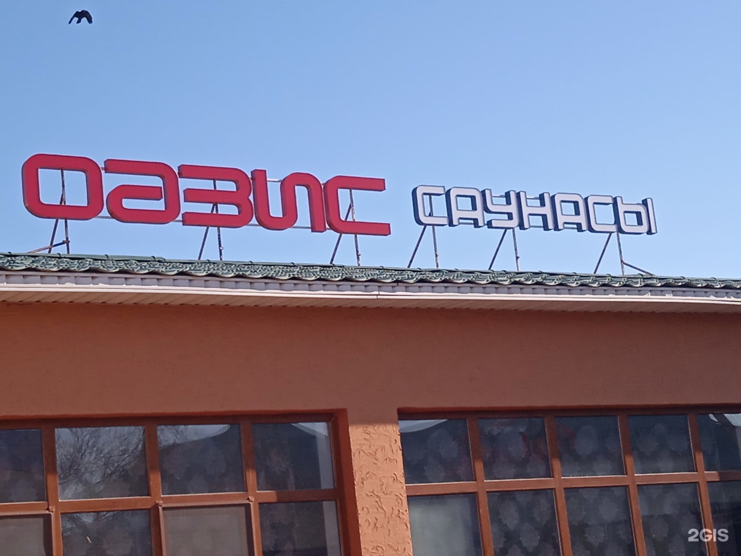 Оазис