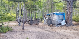 Бугульдейка: Коттедж В Бугульдейке