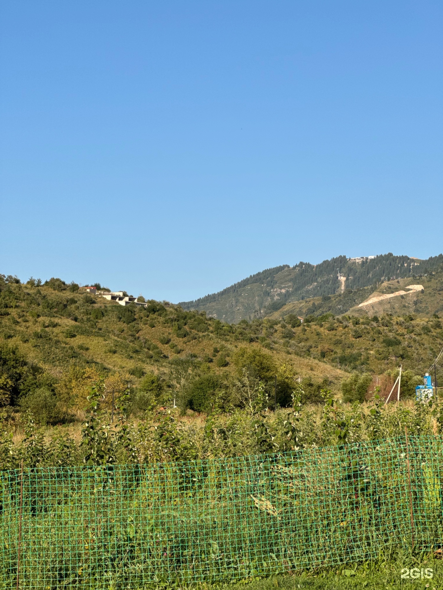 Sancho rancho