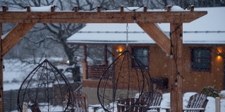 Серпухов городской округ: Турбаза Wish home Дубовая роща