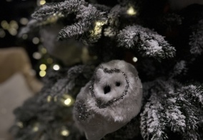 Отель Орлиное гнездо в Республике Алтай