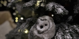 Усть-Муны: Отель Орлиное гнездо