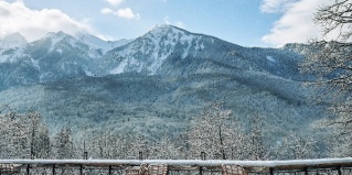 Красная Поляна: Глэмпинг Pine River Красная Поляна