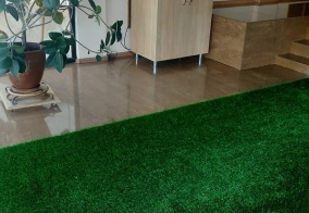 Отель Достык в Шымкенте