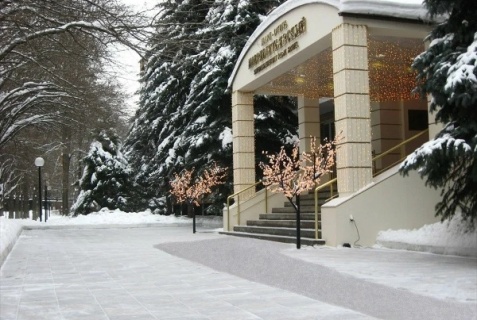 Москва: Отель Шереметьевский