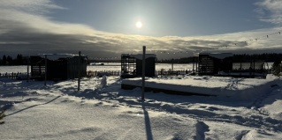 Палашкино: Глэмпинг Ruza River Club