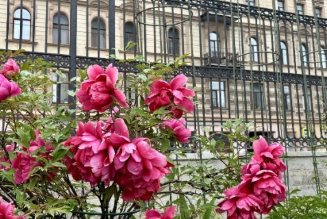 Санкт-Петербург: Апарт-отели Asmera Apartments