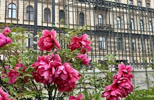 Санкт-Петербург: Апарт-отели Asmera Apartments