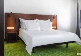 Отель Gorskiy city hotel в Новосибирской области