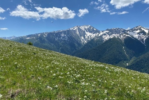 Каменномостский: Турбаза Солнечная