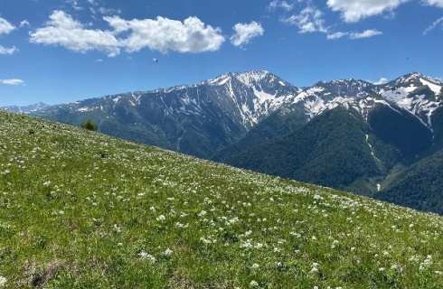 пос. Каменномостский: Турбаза Солнечная