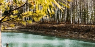 Нижнетавдинский район: Апартаменты Delfin house