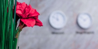 Магнитогорск: Отель Бизнес отель