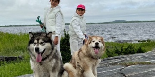 Беломорский район: Турбаза Лопский берег