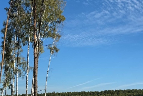 Городецкий муниципальный округ: Турбаза Рассвет