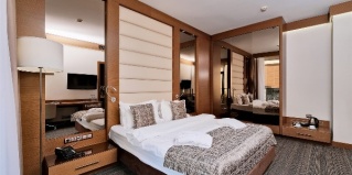 Сириус: Отель Арфа