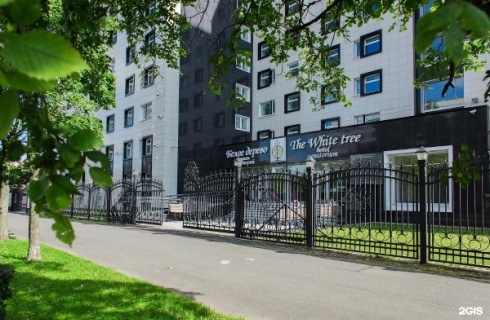 Санкт-Петербург: Отель Белое дерево