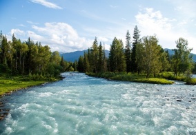 Кемпинг Огонёк в Республике Алтай