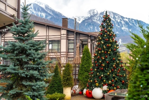 Эстосадок: Отель Грейс Империал