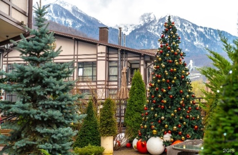 с. Эстосадок: Отель Грейс Империал