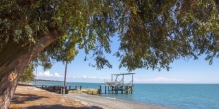 Кындыг: Отель Эвкалиптовая Роща