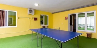 Адлер: Гостевой дом Дом на Аллейной