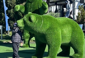 Капсульные отели На Воровского в Сочи