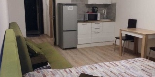 Екатеринбург: Апартаменты DreamHouse